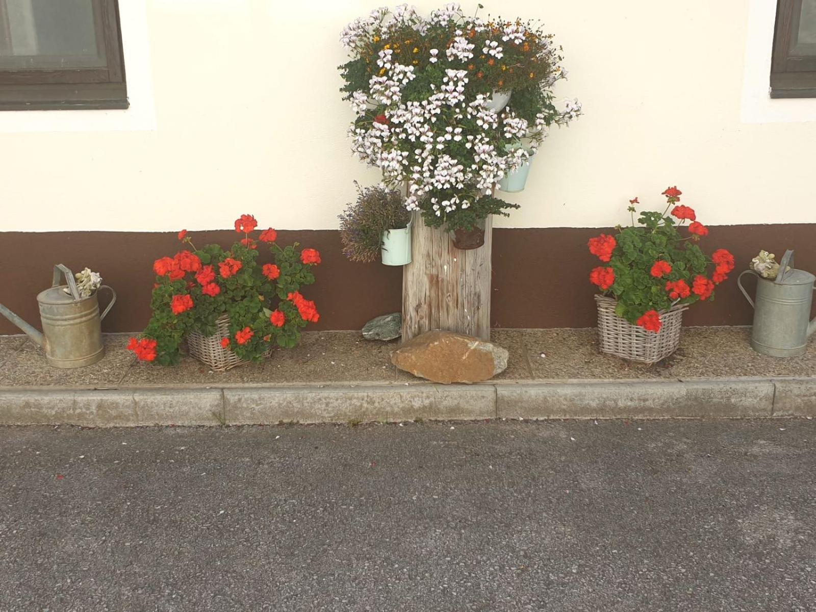 Familie Stoier Villa Reichenau Kültér fotó