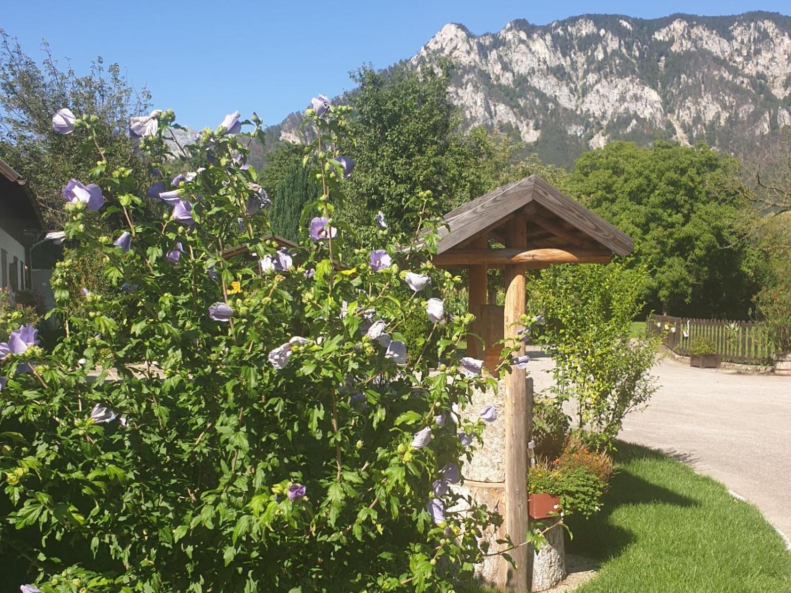 Familie Stoier Villa Reichenau Kültér fotó